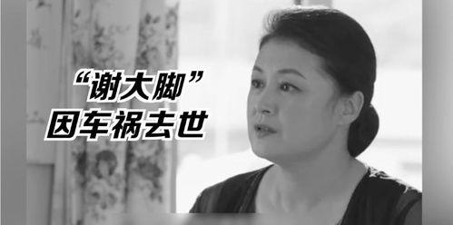 娱乐吃瓜王大锤,揭秘娱乐圈幕后风云