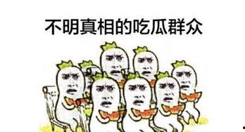 吃瓜群众娱乐小能手,揭秘娱乐圈幕后趣闻